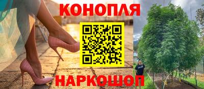 эйфоретик Моздок