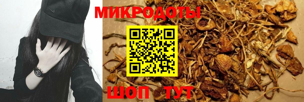 Псилоцибиновые грибы Psilocybine cubensis  Вход с VPN  Усолье-Сибирское  Галлюциногенные грибы Psilocybe 