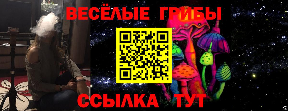 Галлюциногенные грибы Psilocybe Усолье-Сибирское